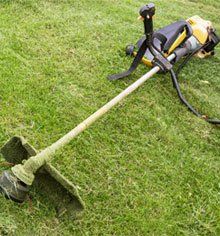 Strimmer heads