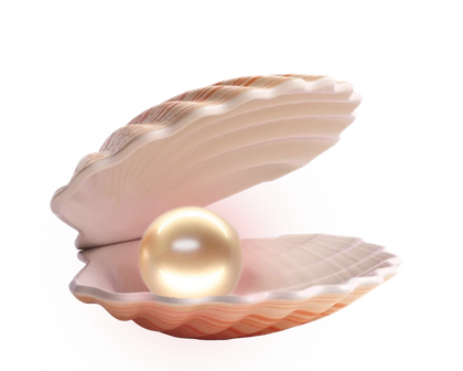 A shell with a pearl inside of it on a white background.