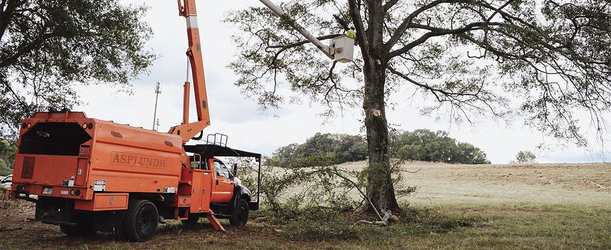 An orange tree trimming truck is cutting branches from a tree in a field under a cloudy sky.