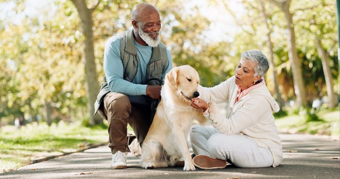 Two people sit on a park path petting a golden retriever in a sunny green park.