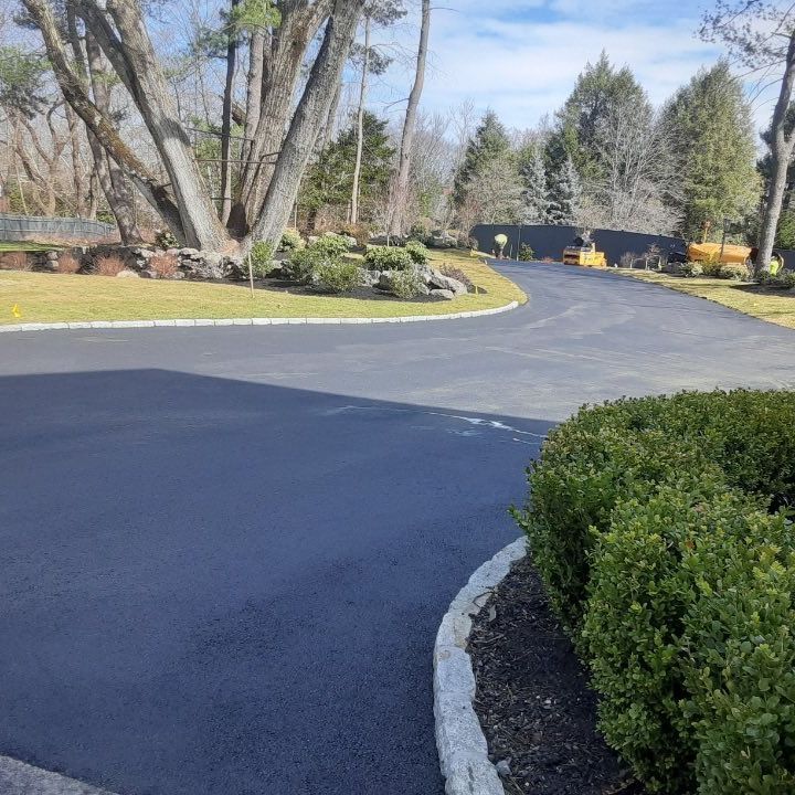 A black asphalt driveway surrounded by bushes and trees.