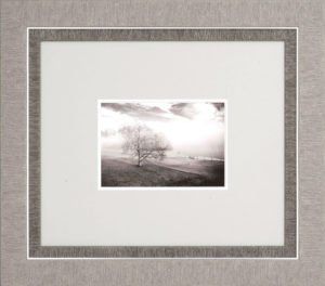 Tree — White River Junction, VT — Junction Frame Shop