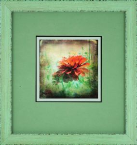 Flower — White River Junction, VT — Junction Frame Shop