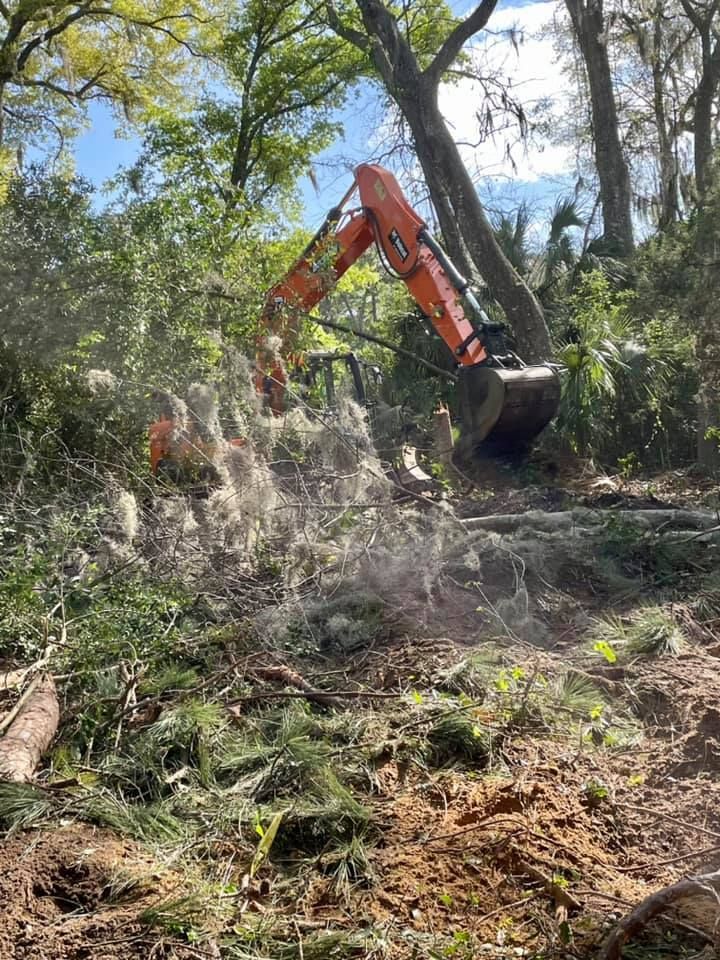 An excavator is cutting down a tree in the woods.