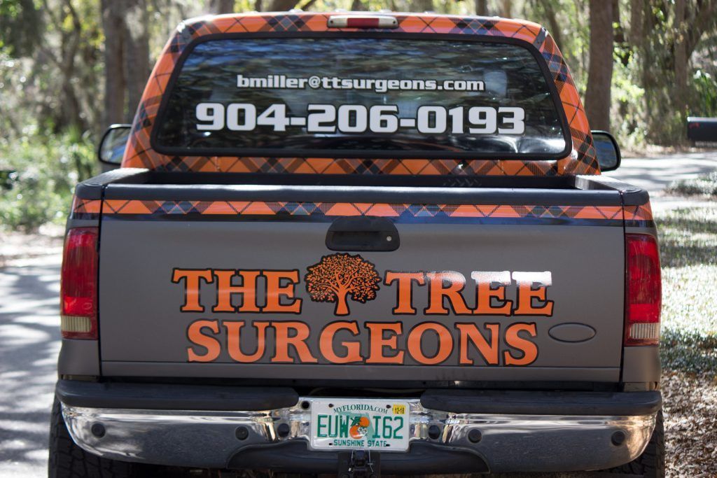 The back of a truck that says the tree surgeons.