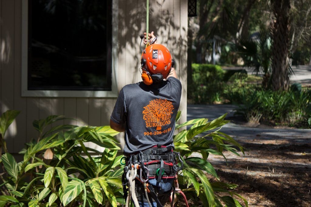A man wearing a helmet is standing next to a tree.
