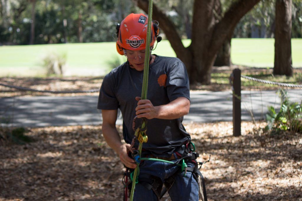 A man wearing a helmet is climbing a tree.
