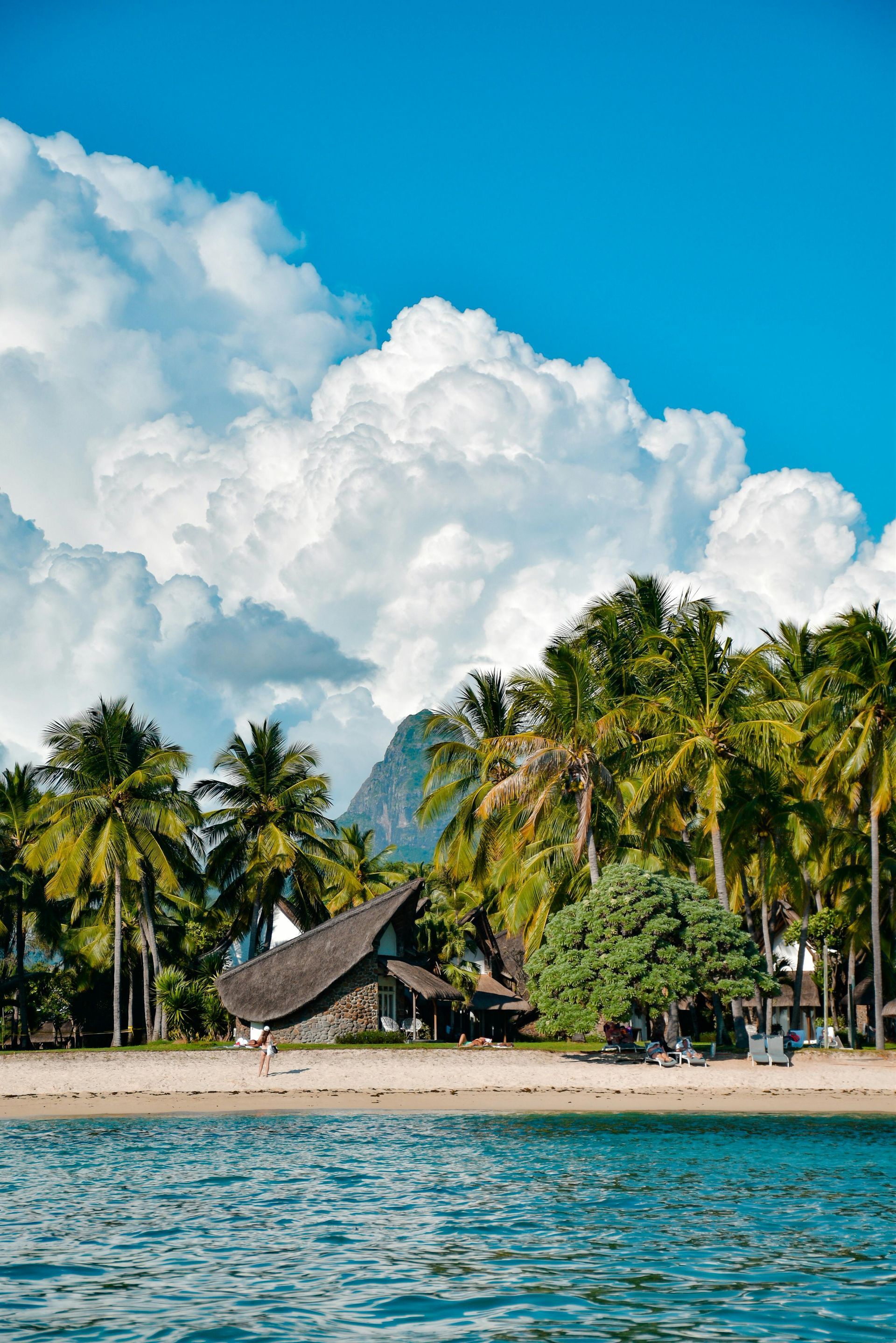 Tropical beach scene: house nestled among palm trees, turquoise water, puffy white clouds, bright blue sky.