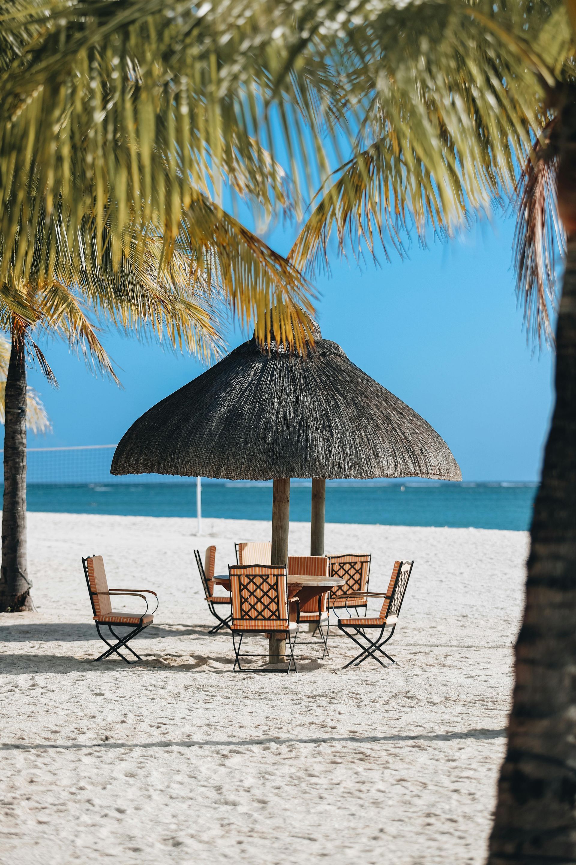Beach scene: thatched umbrella over a table and chairs, palm trees, blue ocean and sky.