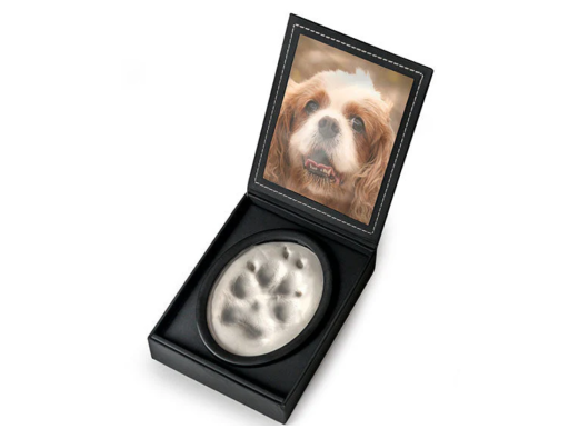 Open black keepsake box with a dog portrait in the lid and a paw print plaque inside