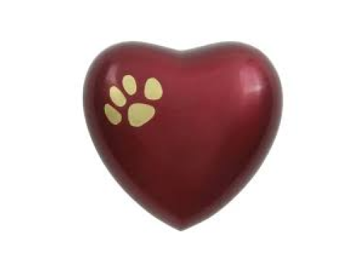 Red heart-shaped object with a small yellow paw print in the upper left corner