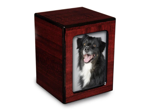 Wooden pet urn with a framed photo of a black-and-white dog on the front
