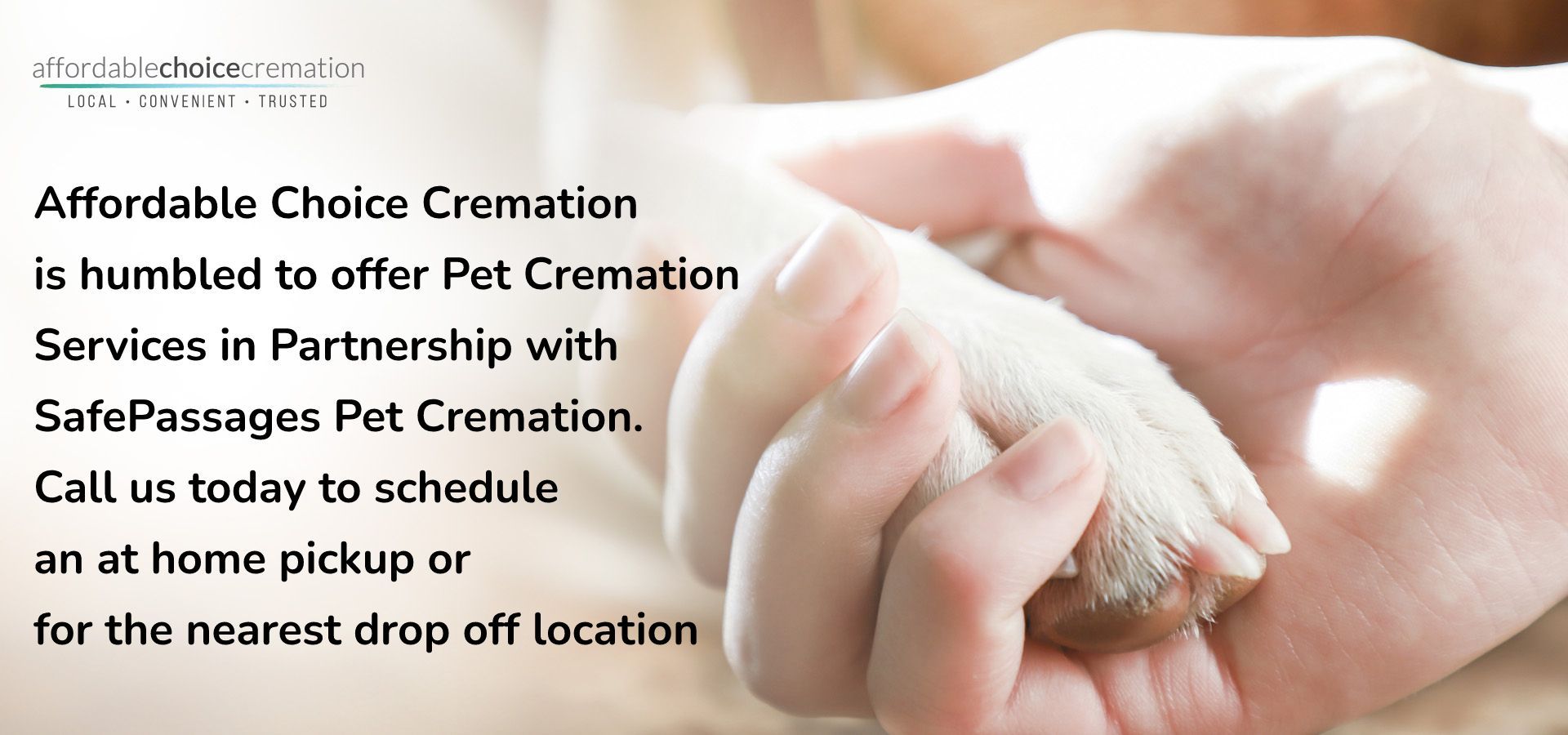 Hands holding a white rose beside text advertising pet cremation services and home pickup/drop-off locations