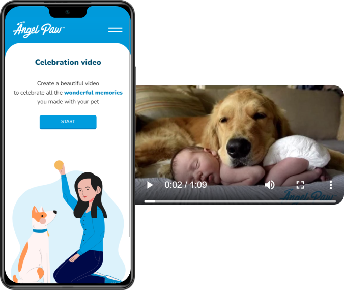 Mobile app screen for creating a celebration video beside a dog video thumbnail with play controls