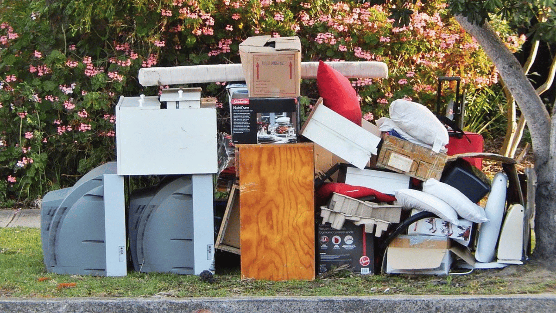 Pile of trash