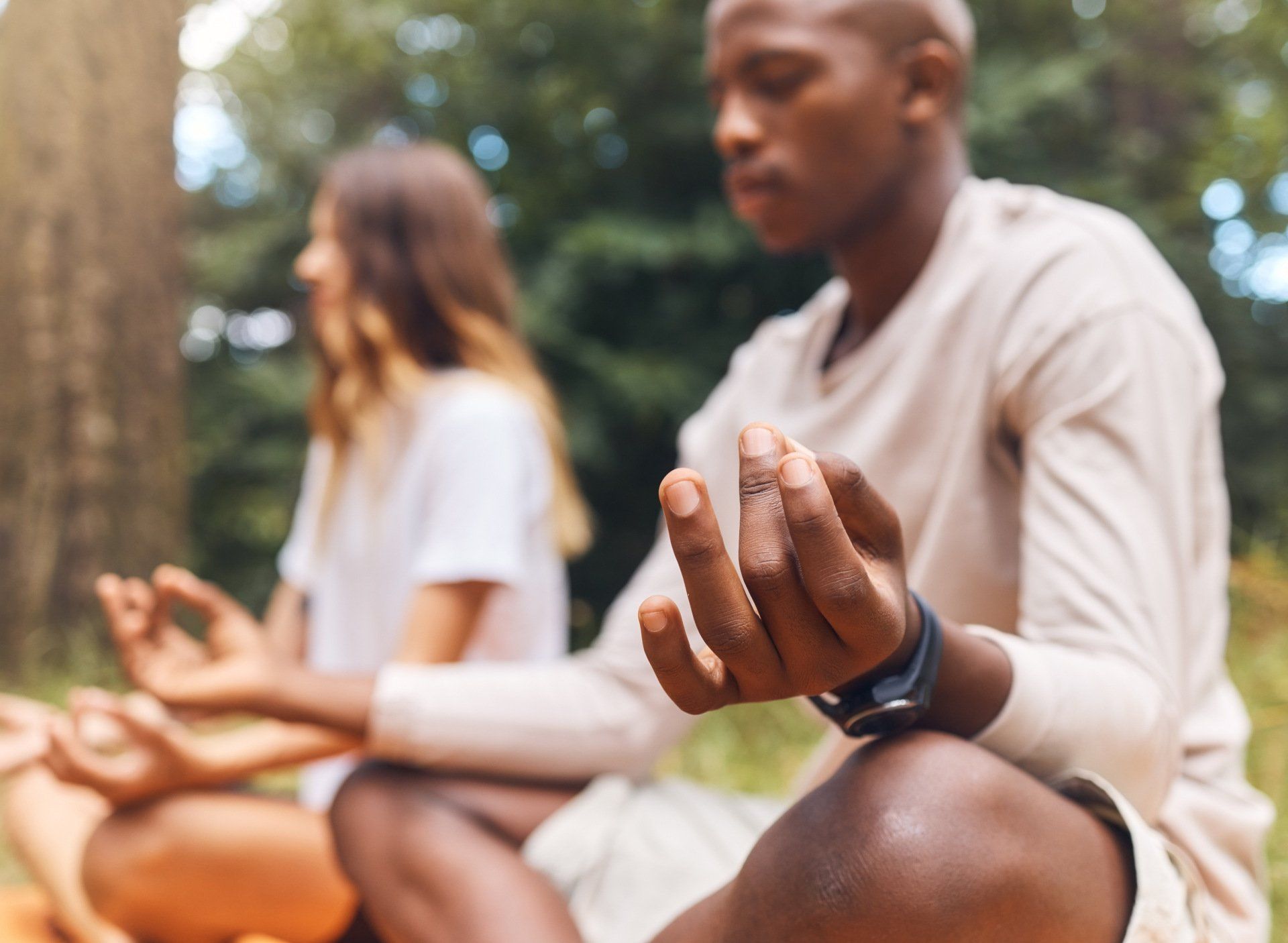 Forest Meditation
