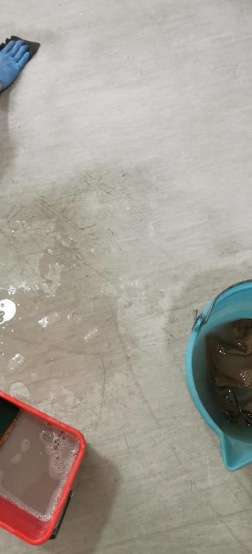 Pulizia del pavimento: un secchio blu con acqua, un vassoio rosso con le bolle e una mano con un guanto blu.