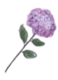 icona logo