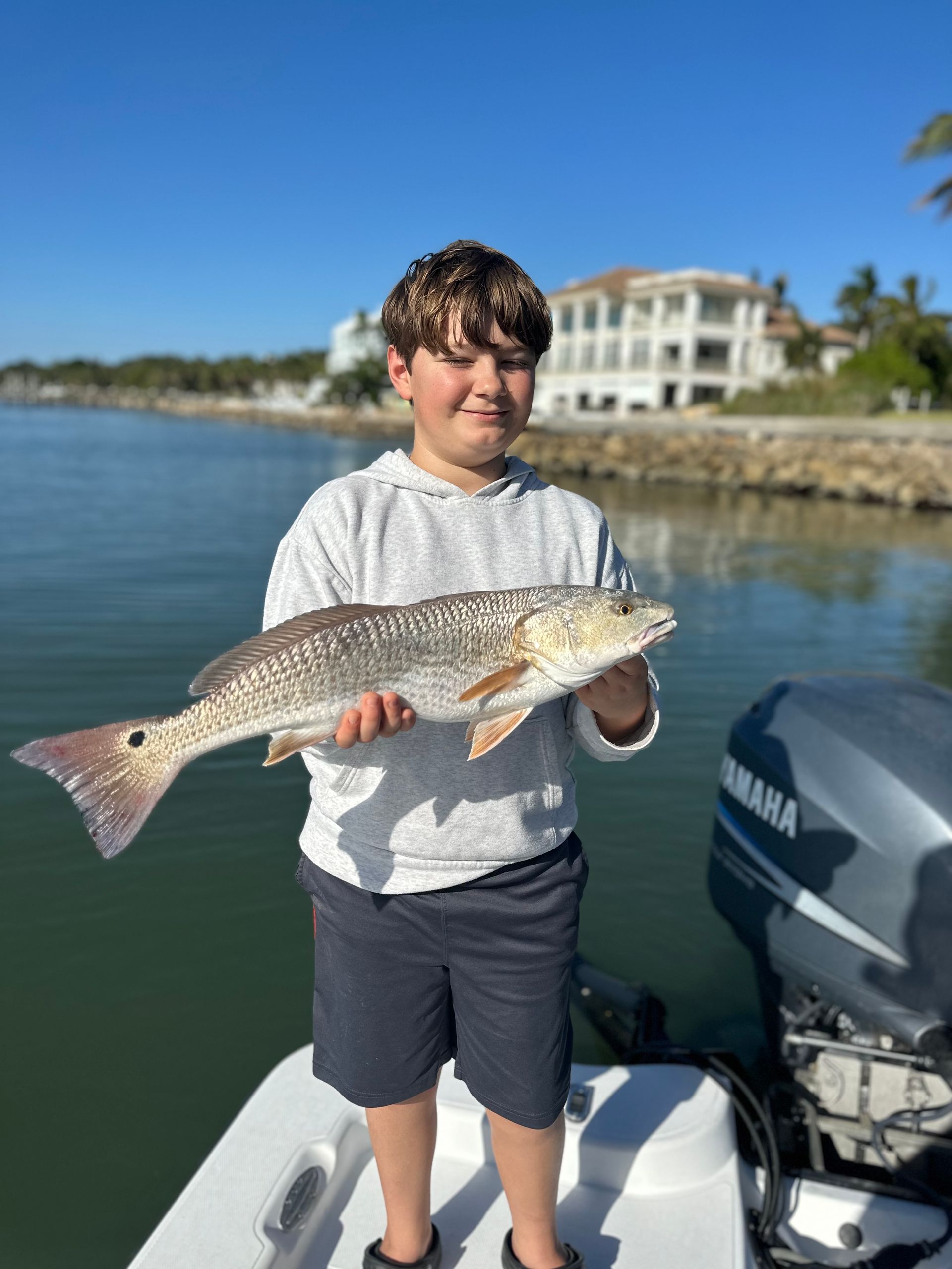 Boy on a boat holds a large redfish. Waterfront houses and blue water in the background. Sunny day.
