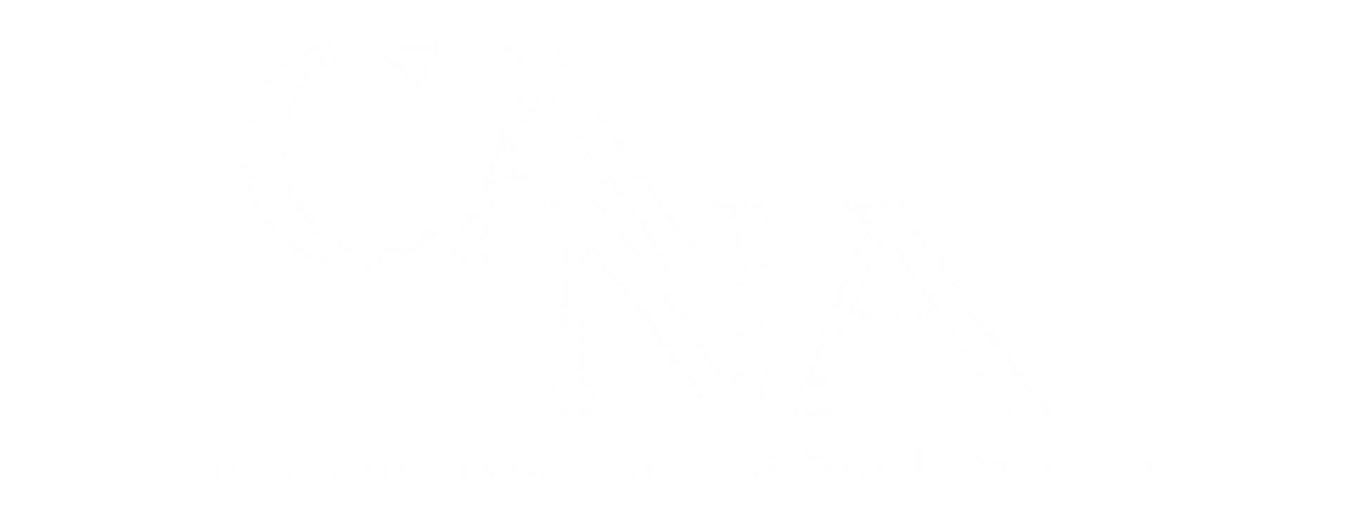 The logo for the cremation association of north america.