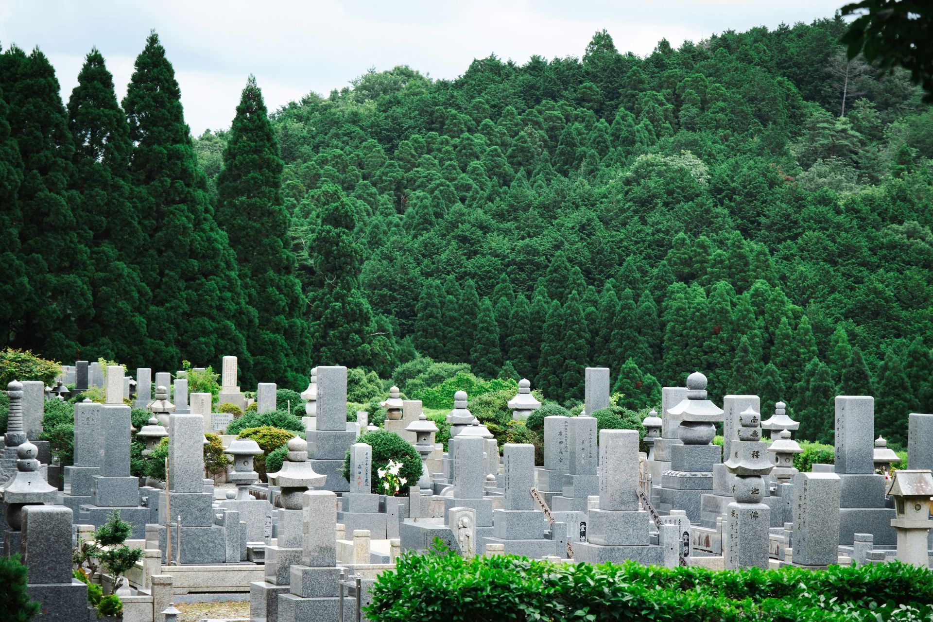 cremation services Chaska, MN