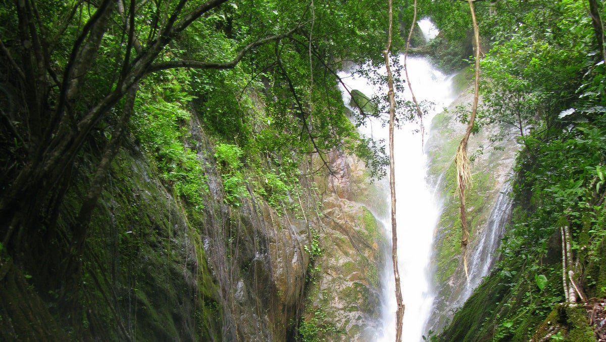 visit the Koh Chang waterfalls
