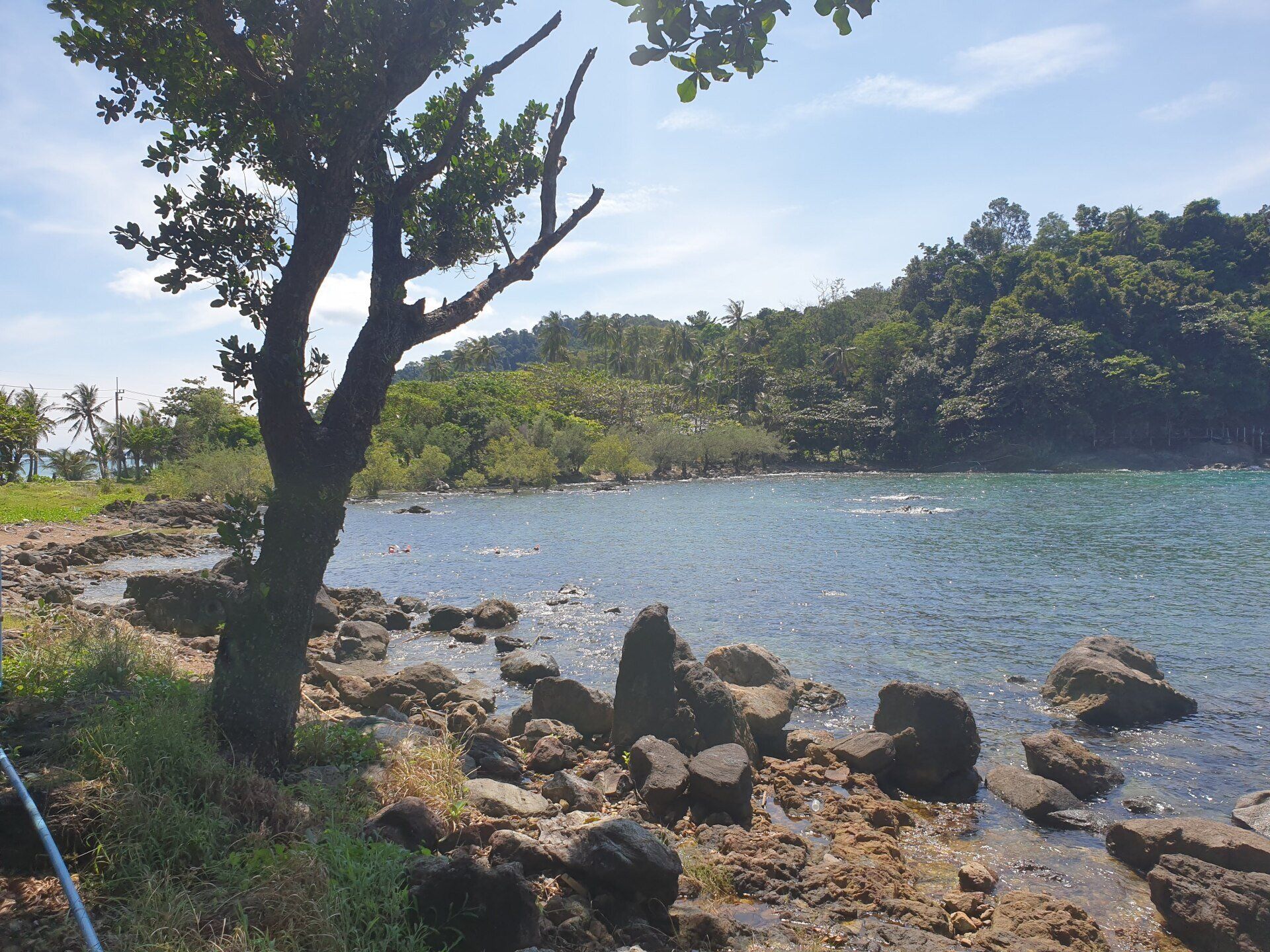 snorkeling at cliff cottage