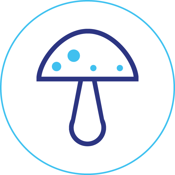A mushroom icon in a blue circle on a white background.