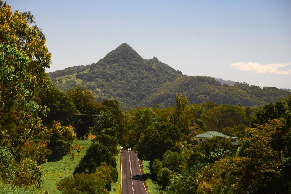 Road Through Lush Green Trees Leading to A Distant Mountain Peak — Bigfoot Earthmoving In Mullumbimby, NSW