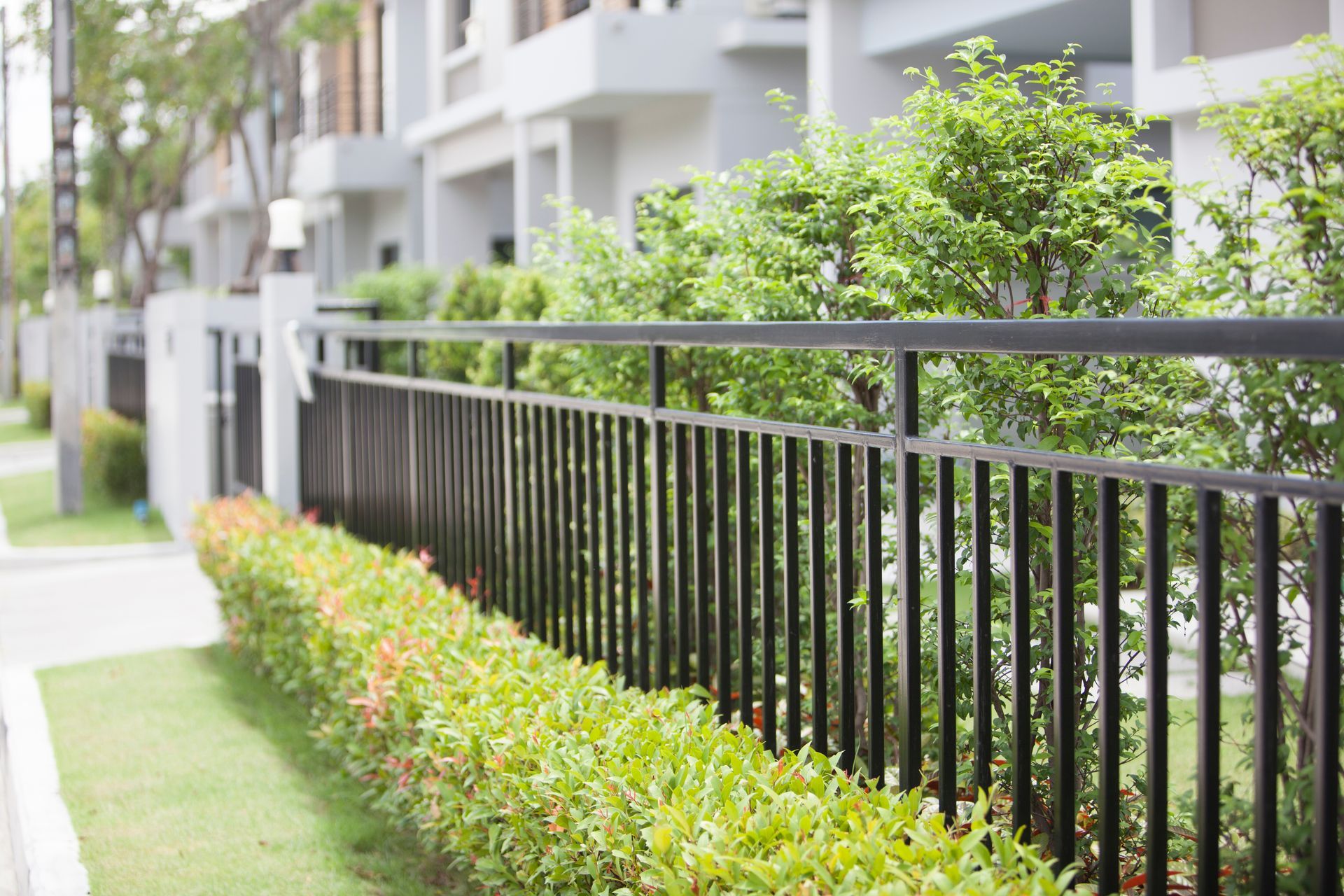 Black metal fence beside a manicured hedge outside modern apartment buildings