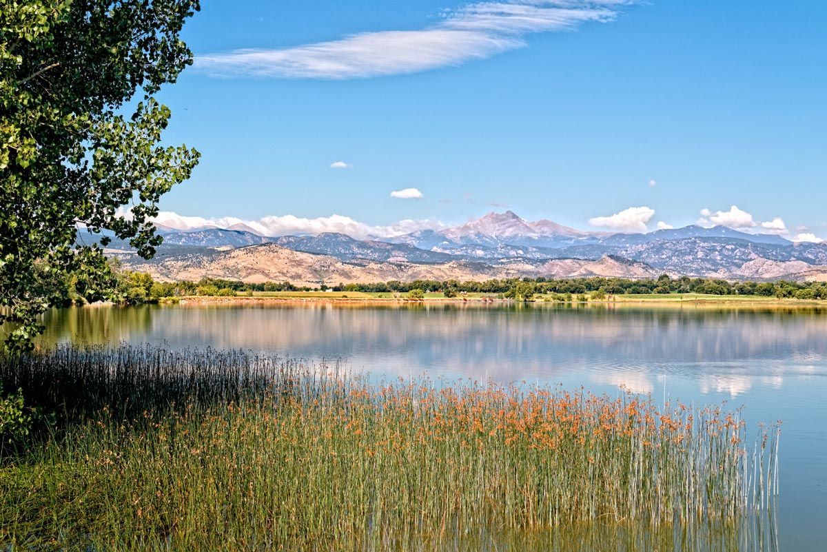A lake surrounded by tall grass and trees with mountains in the background.