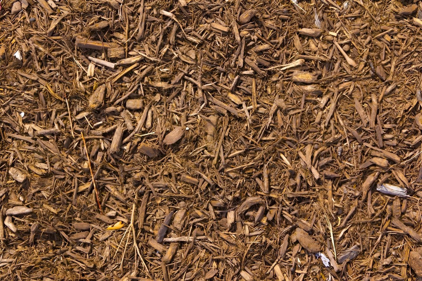 Close-Up Of Brown Wood Chips Mulch Covering The Ground