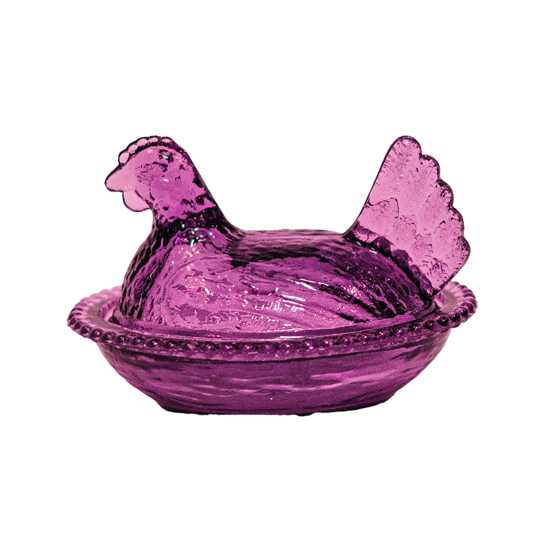 Home of AAA Coitsville Hens on nest minis violet