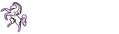 Invicta Shipping and Chartering Ltd logo