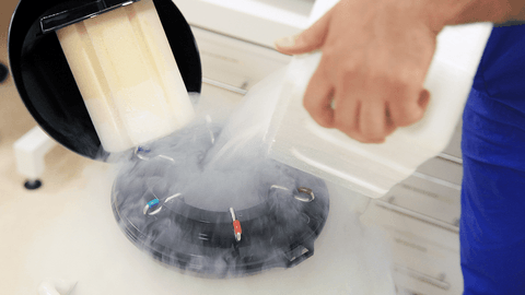 embryo cryopreservation