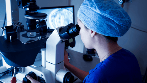 IUI gegen IVF
