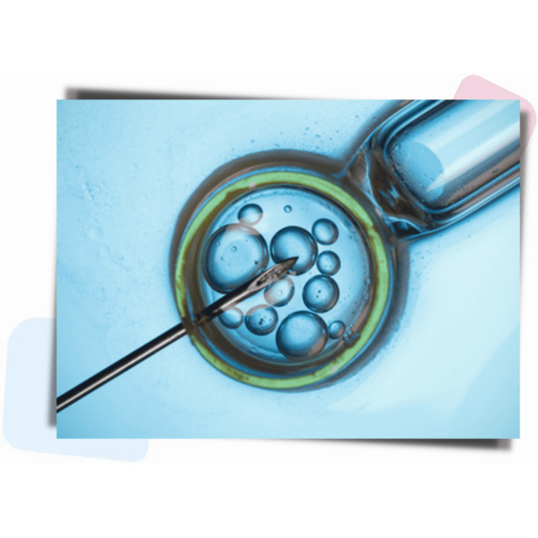 fertility treatment for gay couples
