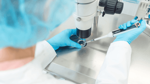 embryo cryopreservation