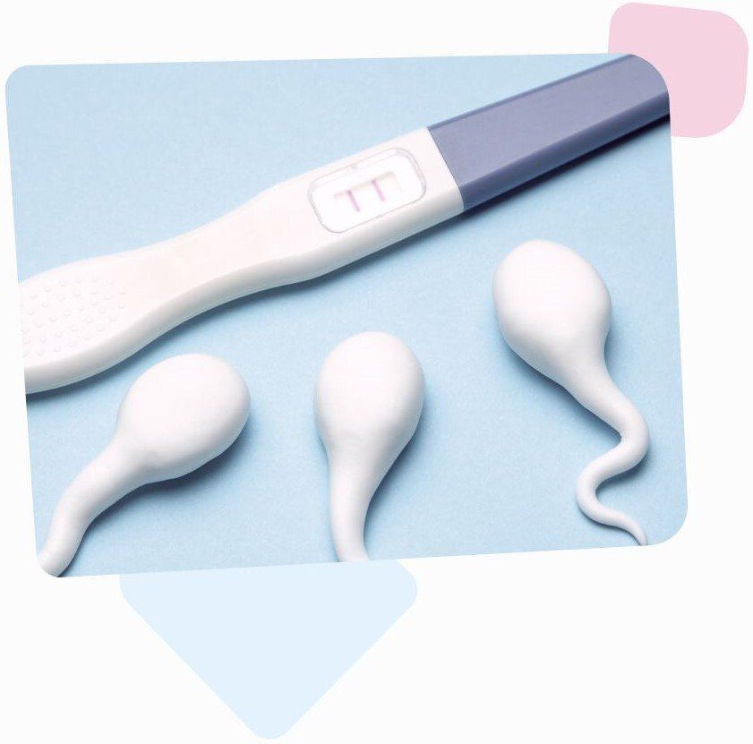 Embryo-Garantie