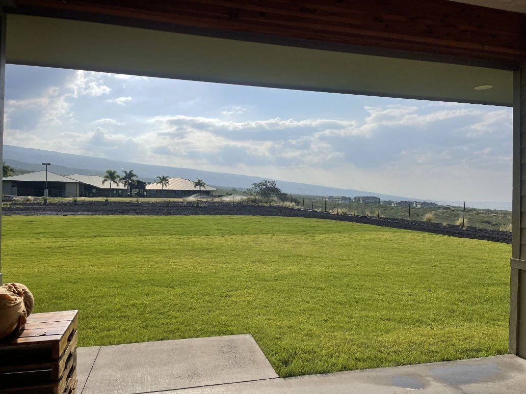A view of a grassy field with mountains in the background