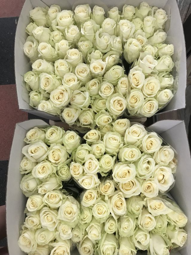 Fiori bianchi per funerale