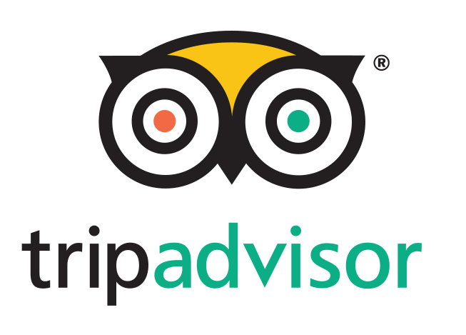 TripAdvisor reviews Saarinen Tours
