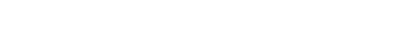 Logo diconium