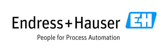 Logo Endress+Hauser