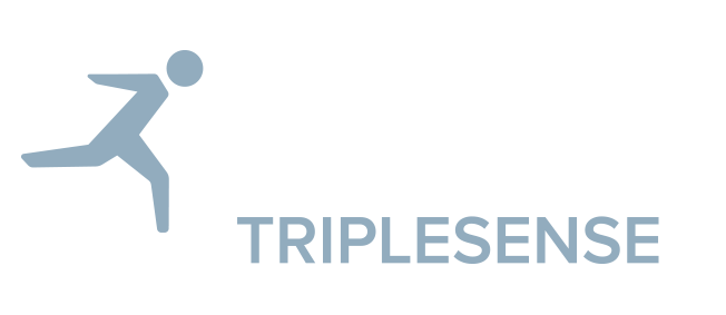 Logo Triplesense Reply GmbH