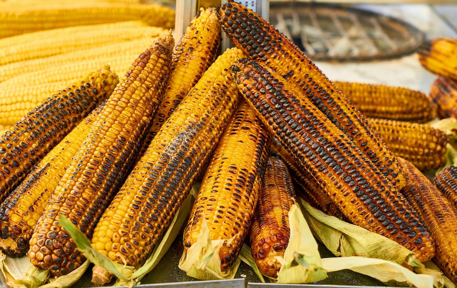Grilled corn on the cob, stacked on a metal counter. Yellow kernels, charred exterior, green husks.