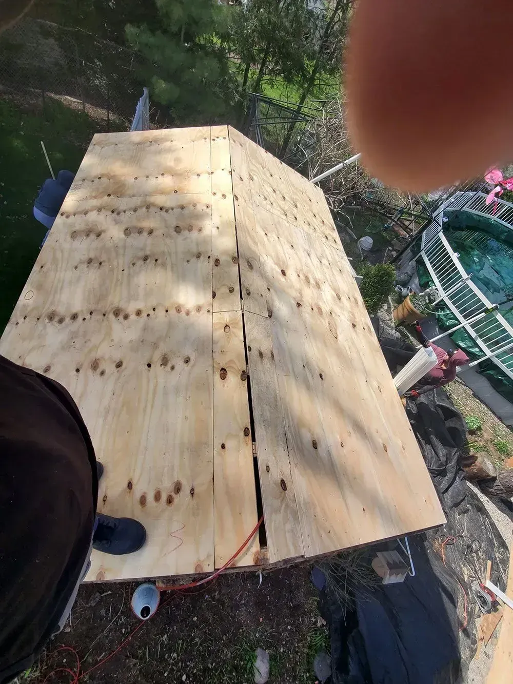 A plywood structure with visible nail holes, split seam, and person's foot in the foreground.