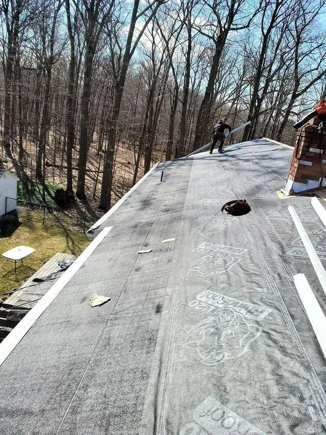 Person on a rooftop working near a chimney, forested backdrop.