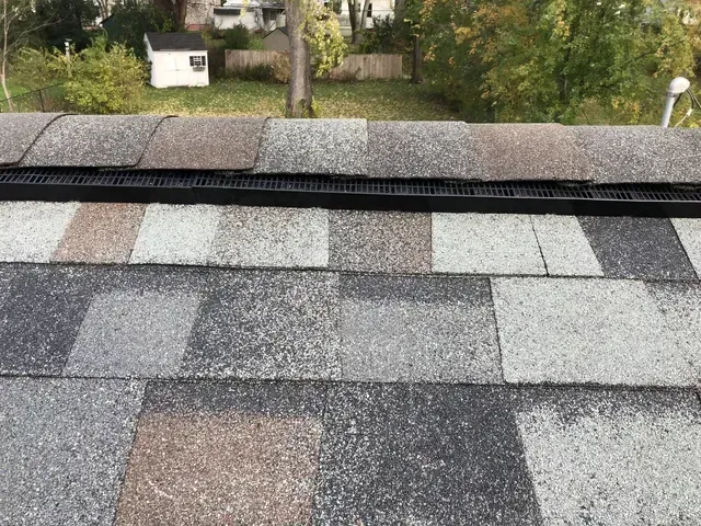 Roof with black gutter guard and asphalt shingles in various shades of gray and brown.