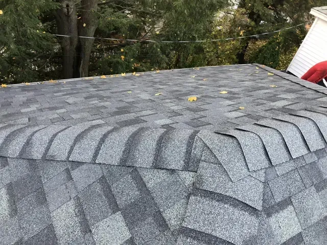 Gray asphalt shingle roof, close-up view. The shingles overlap and meet at the edge. Some leaves are present.